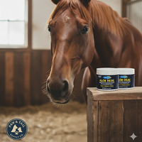 Farnam Aloe Heal Veterinary Horses Dogs Cream 4 oz. 2-Pack