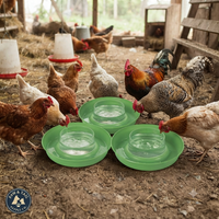 Little Giant Screw-On Chicken Poultry Waterer Bases 1 Quart Green 3-Pack