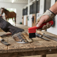 Rubber Horse Hoof Pick & Stiff Brush Grooming Tool Red or Blue