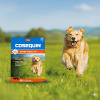 Dog Nutramax Cosequin Ds Plus Msm Professional Line Soft Chews 60ct Joint Support