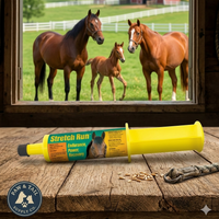 Finish Line Stretch Run Horse Energy Supplement Oral Syringe 2 oz.