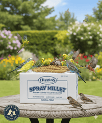 Higgins Spray Millet Bird Treats Non-GMO Natural Foraging All Birds 5lbs.