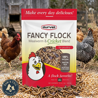 Durvet Fancy Flock Mealworm & Cricket Bird Treats High Protein Chicken Treats 16 oz.