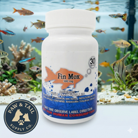 Fish Mox 500mg Capsules for Aquarium Fish – 30 Count – Water Care Support