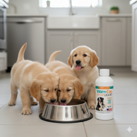 Dog Deworming & Flea Care Bundle WormEze 8oz + Adams Flea & Tick Shampoo 12oz + Chicken Rope Toy – Wholesale Bundle!