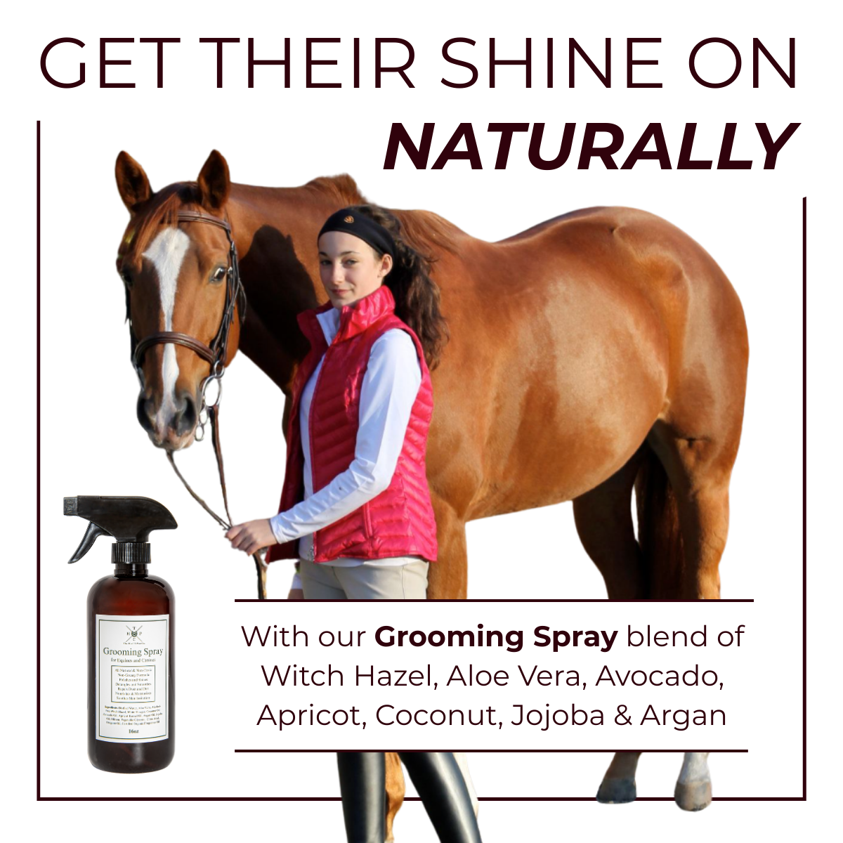 Grooming Spray for Dogs & Horses - 16oz