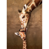 Giraffe Mother's Kiss 1000 Piece Jigsaw Puzzle Eurographics