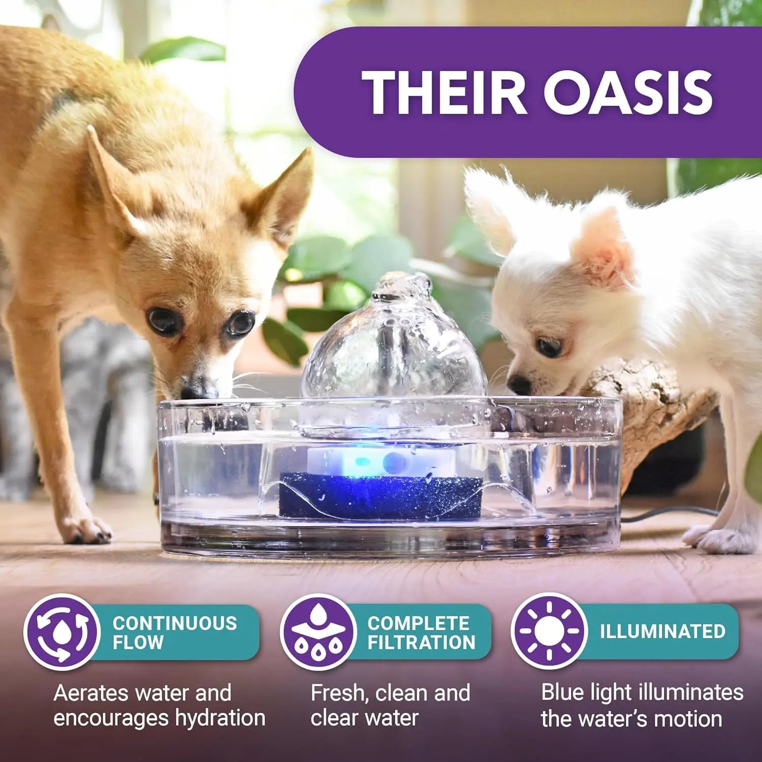 Glass Pet Water Fountain for Cats & Small Dogs