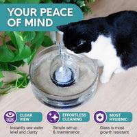 Glass Pet Water Fountain for Cats & Small Dogs