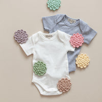 Succulent Teethers - BIG FRENCHIES