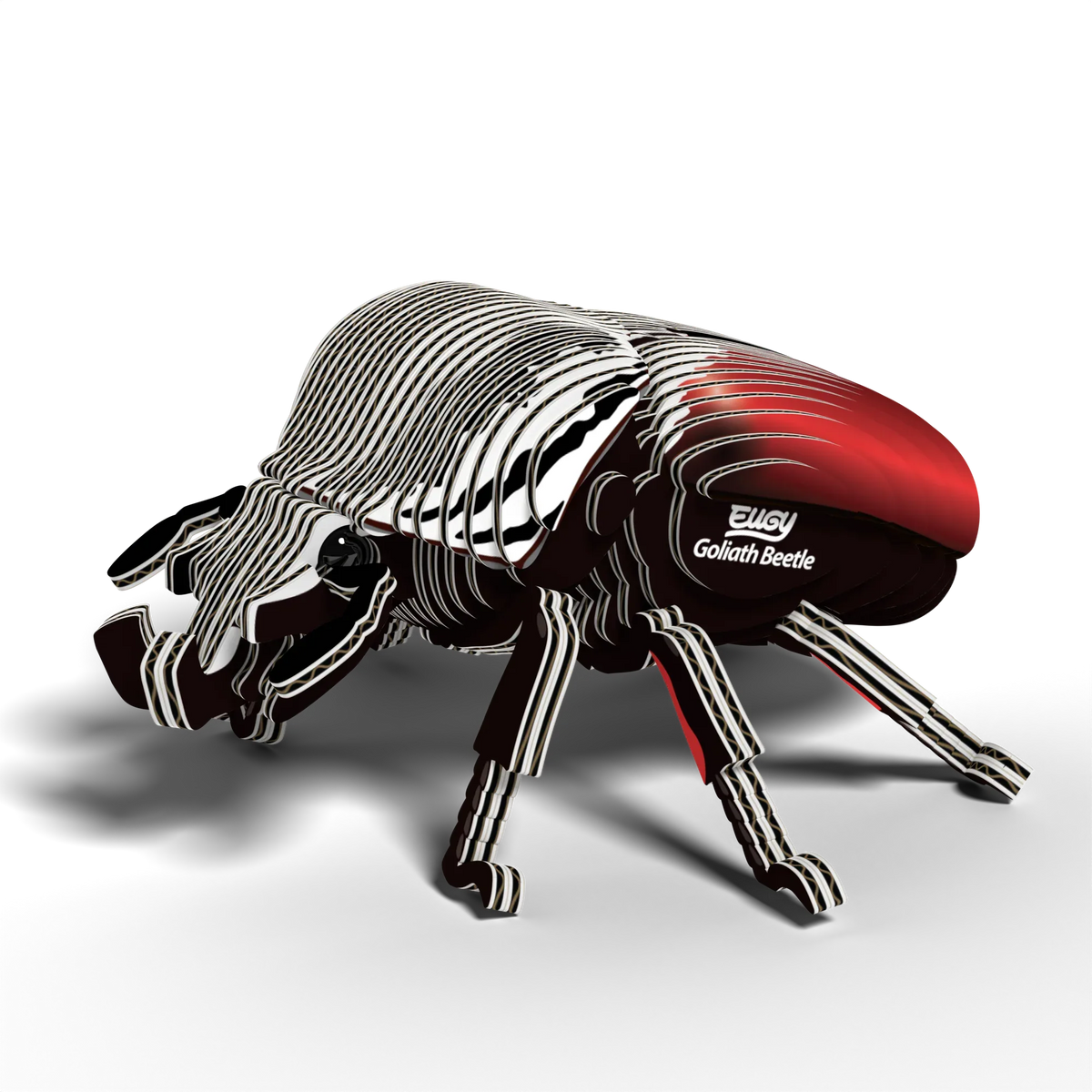 Goliath Beetle 3D Cardboard Model Kit Eugy - BIG FRENCHIES