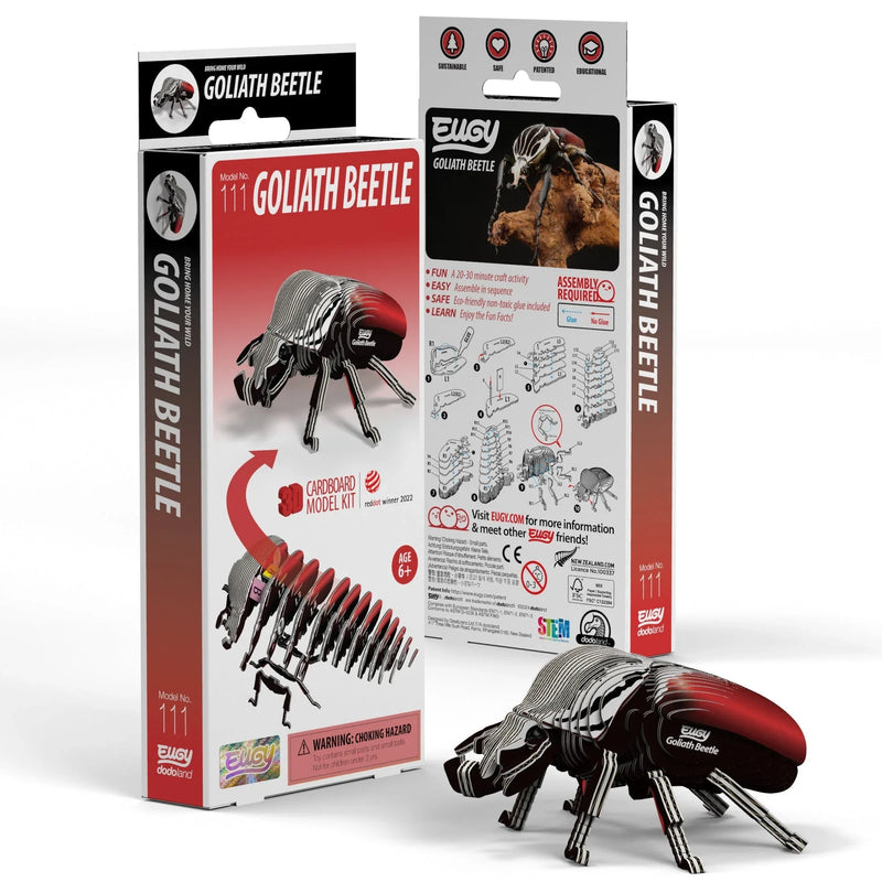 Goliath Beetle 3D Cardboard Model Kit Eugy - BIG FRENCHIES