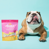 Ava's Pet Palace Organic Oven Baked Dog Treats - Gone Bananas (6 oz) / 2-Pack - BIG FRENCHIES