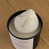 Grand Mesa Candle - BIG FRENCHIES