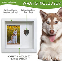 Green Pollywog Pet Memorial Shadowbox | Collar, Tag & Photo Keepsake