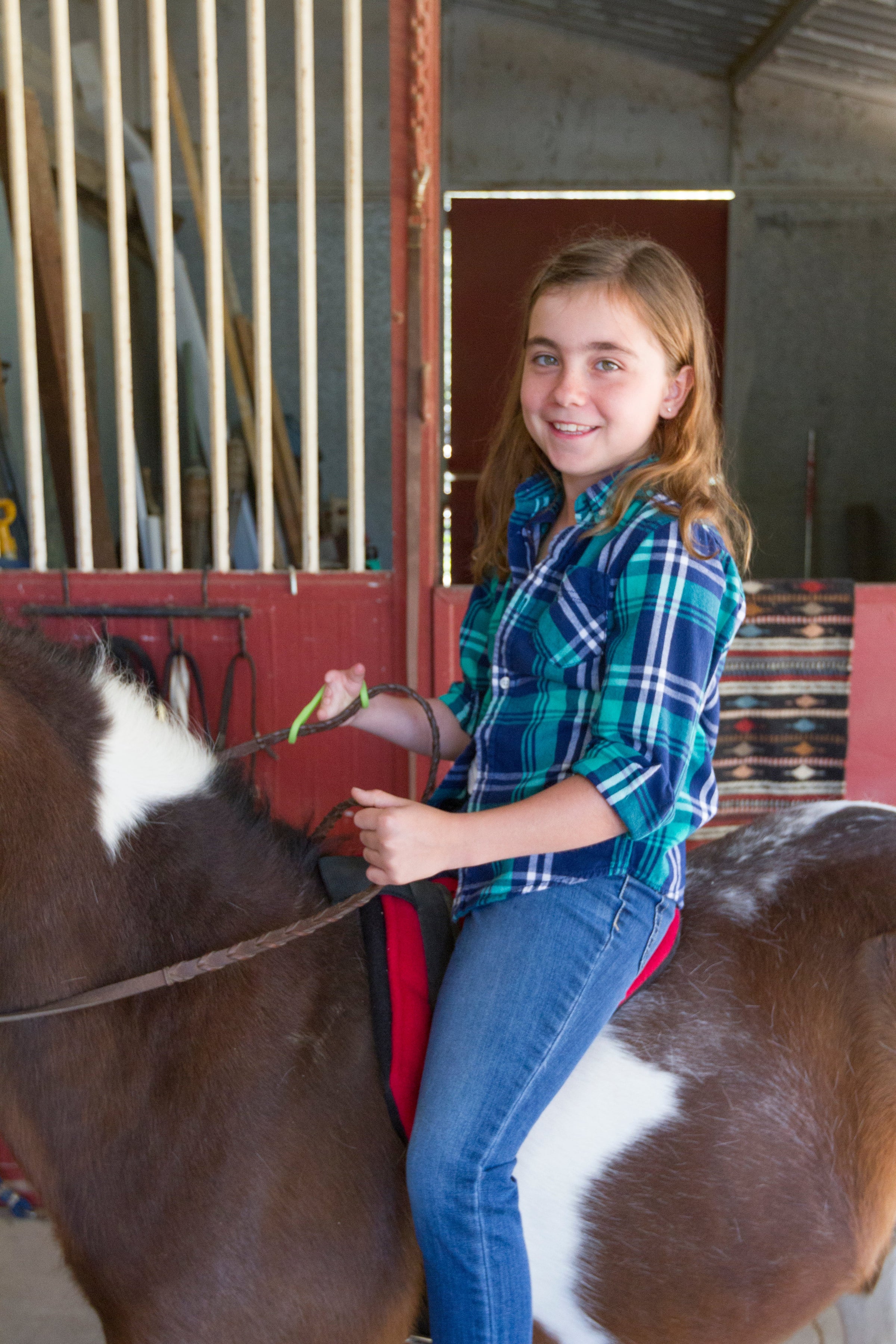 Green 2 pack (small with medium holes)