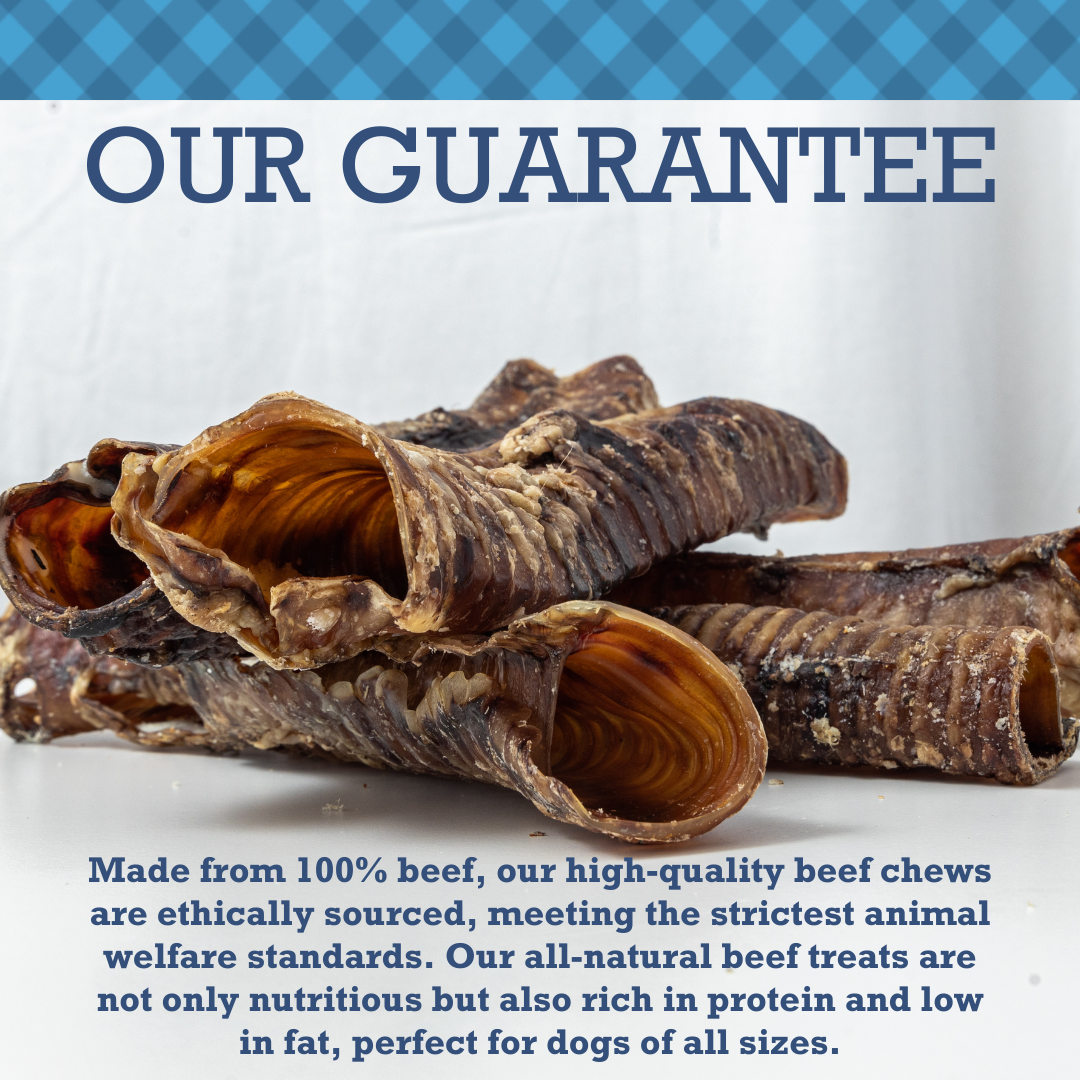 Country Living All-Natural Beef Trachea Dog Treats, Protein-Packed Chews – 12 Inches (5-Pack) - BIG FRENCHIES