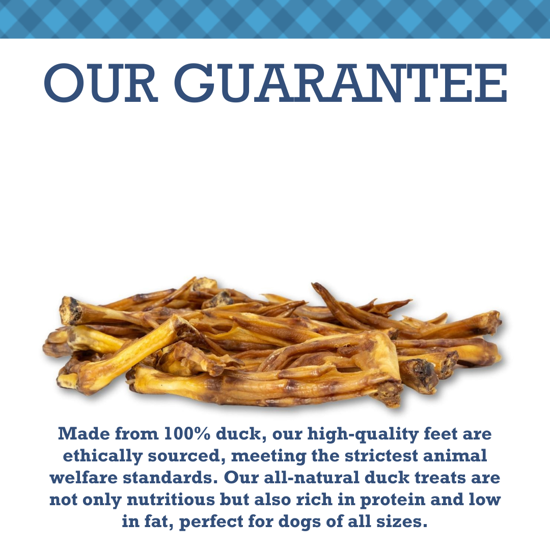 Country Living All-Natural Duck Feet Dog Treats – Crunchy, Long-Lasting Chews – (20-Pack) - BIG FRENCHIES