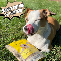 Gut Healthy Dog Treat Variety Bundle