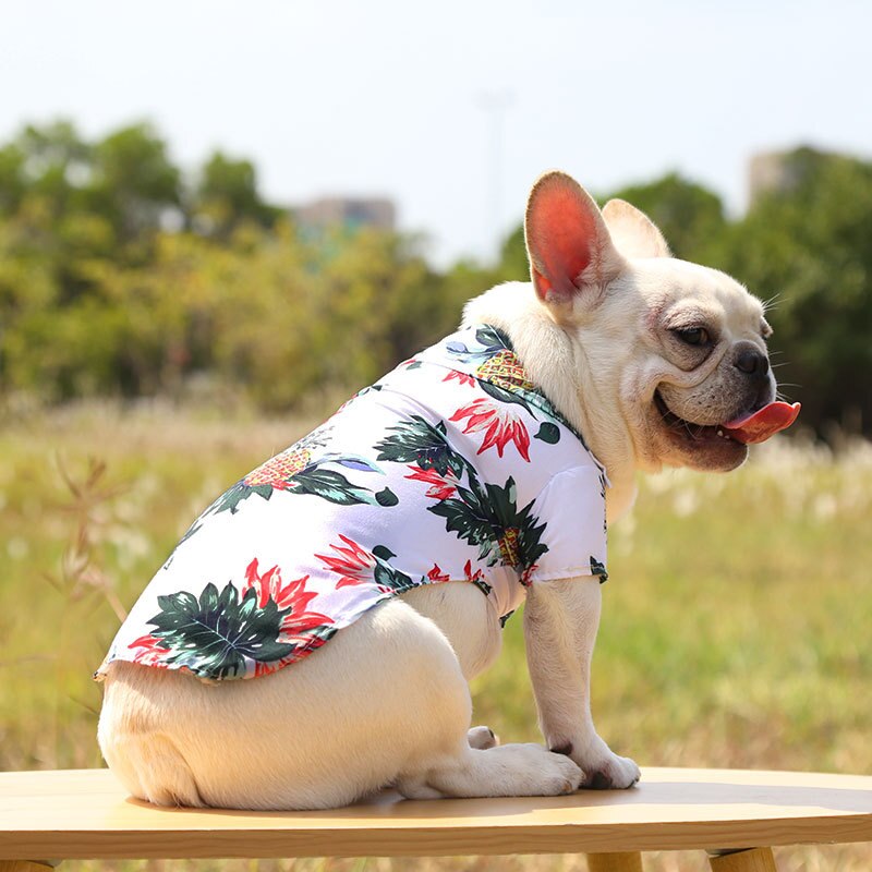 Hawaiian Pet Shirts - BIG FRENCHIES