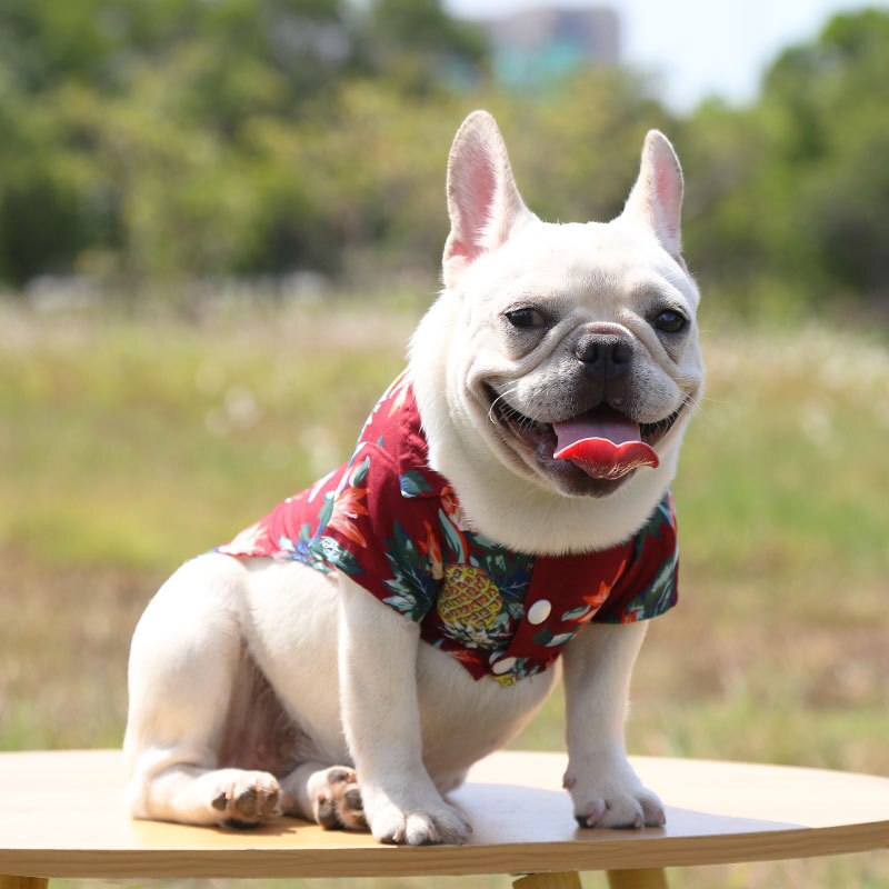 Hawaiian Pet Shirts - BIG FRENCHIES