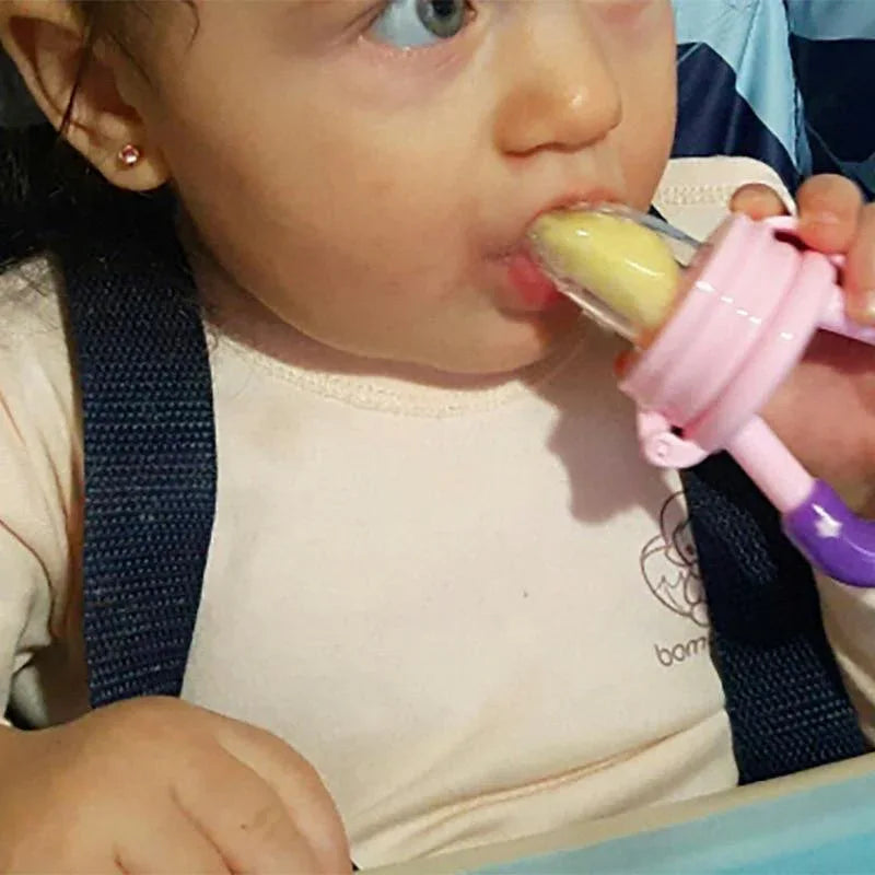Baby Pacifier Infant Nipple Soother Toddler Kids Pacifier Feeder For Fruits Food Dummy Baby Feeding Pacifier - BIG FRENCHIES