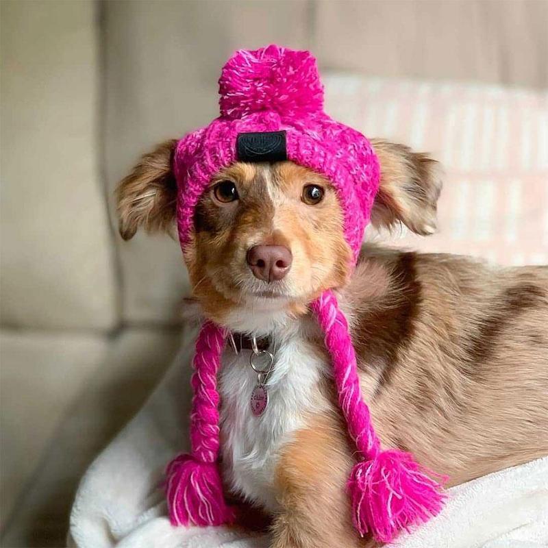 Autumn Winter Warm Knitted Pet Hats With Fluffy Ball - BIG FRENCHIES