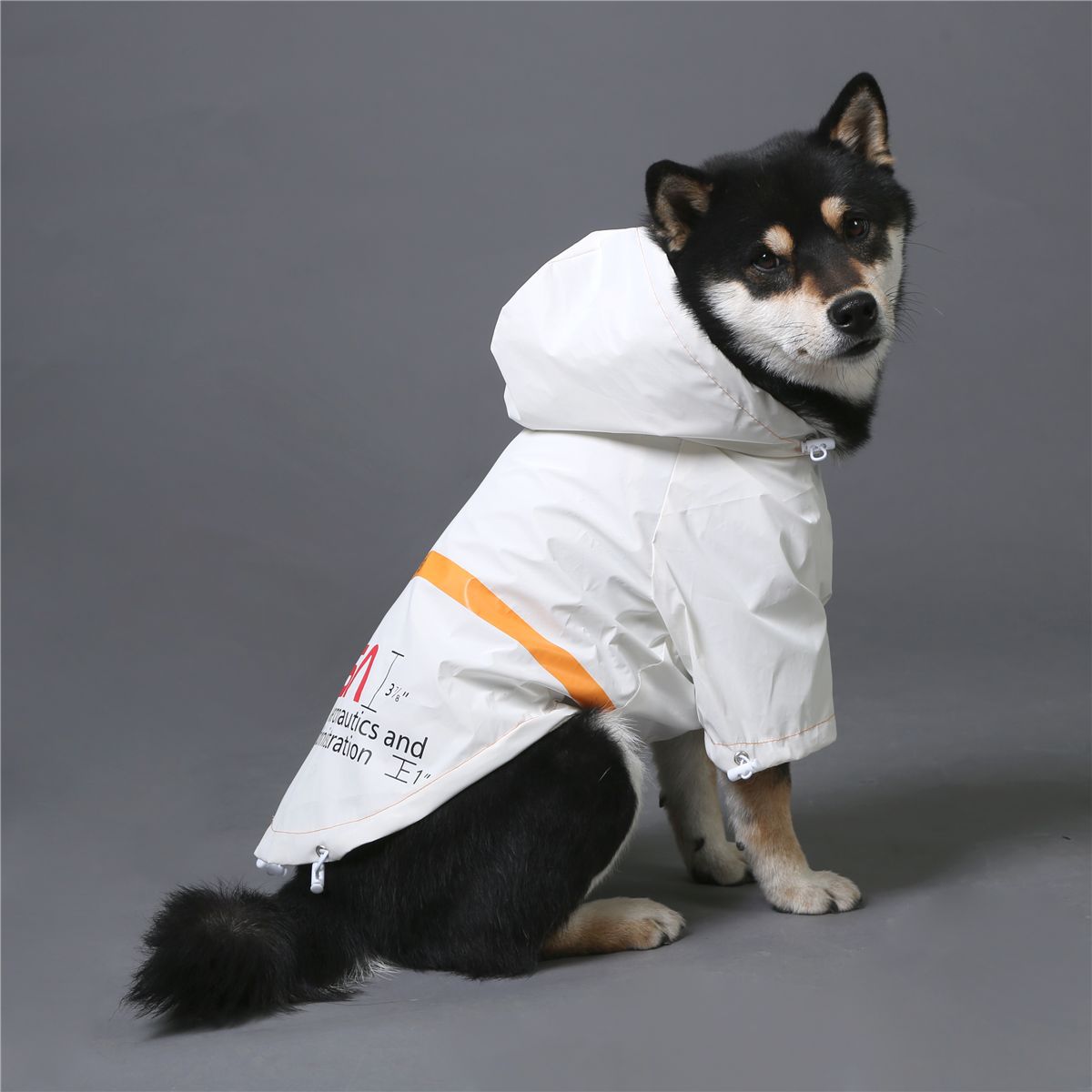 The Dog Face Windproof Waterproof Reflective Pet Cat Dog Jacket - BIG FRENCHIES