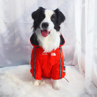 The Dog Face Windproof Waterproof Reflective Pet Cat Dog Jacket - BIG FRENCHIES