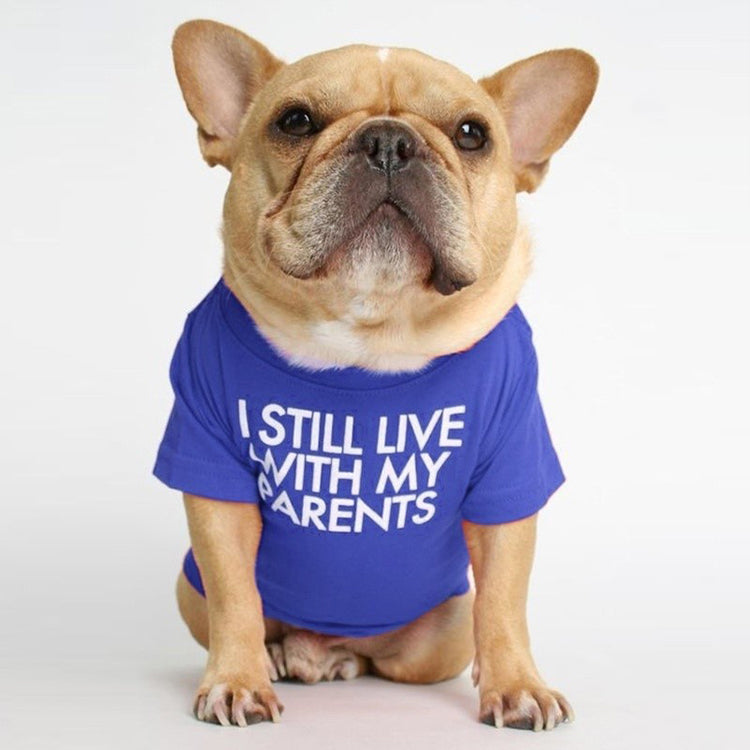 I Still Live With My Parents T-Shirt - BIG FRENCHIES