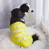 The Dog Face Windproof Waterproof Reflective Pet Cat Dog Jacket - BIG FRENCHIES