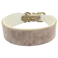 The Wide Luxe Collar - Padded Leather for Large Dogs