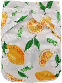 Baby Cloth Diapers Reusable Nappies Character Unisex Baby Care Pants Waterproof Pocket Cloth Diaper For Baby - BIG FRENCHIES