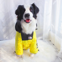 The Dog Face Windproof Waterproof Reflective Pet Cat Dog Jacket - BIG FRENCHIES