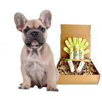4-FURRY DOGS *REGULAR GROOMING KIT