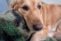 HuggleCause™, Warrior Canine Connection, Camouflage HuggleFleece® Plush Ball Dog Toy - BIG FRENCHIES