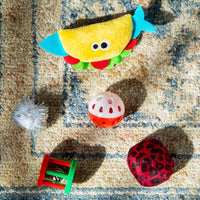 Purfect Cat Gift Box - BIG FRENCHIES
