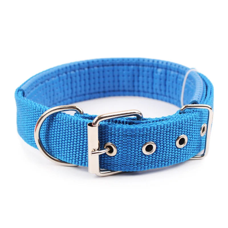 Solid Nylon Dog Collar – Strong & Durable for All Dog Sizes - BIG FRENCHIES
