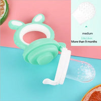 Baby Pacifier Fresh Food Kids Fruit Feeder Nipples Feeding Safe Baby Supplies Nipple Pacifier Holder - BIG FRENCHIES