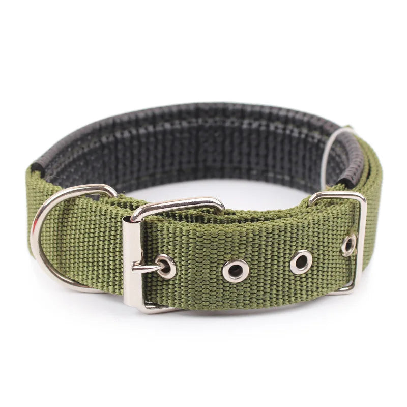 Solid Nylon Dog Collar – Strong & Durable for All Dog Sizes - BIG FRENCHIES
