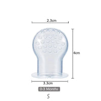 Fresh Food Baby Pacifiers Feeder For Kids Fruit Feeder Nipples Feeding Safe Baby Supplies Nipple Multi-purpose Pacifier - BIG FRENCHIES