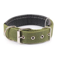 Solid Nylon Dog Collar – Strong & Durable for All Dog Sizes - BIG FRENCHIES
