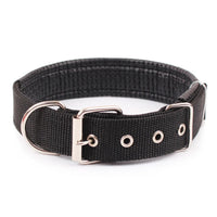 Solid Nylon Dog Collar – Strong & Durable for All Dog Sizes - BIG FRENCHIES