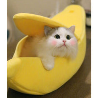 Banana Pet Bed - BIG FRENCHIES