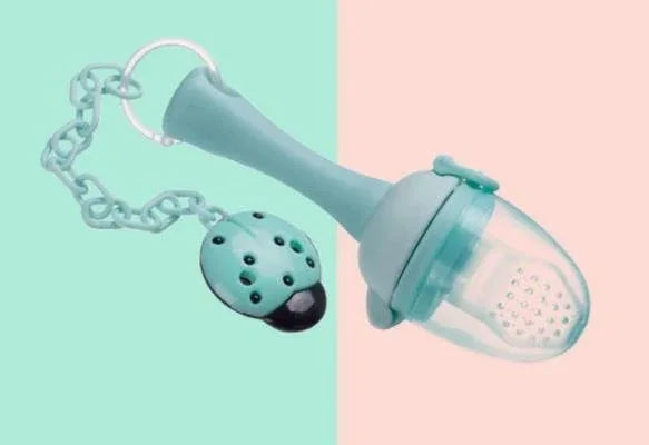 Baby Pacifier Fresh Food Kids Fruit Feeder Nipples Feeding Safe Baby Supplies Nipple Pacifier Holder - BIG FRENCHIES