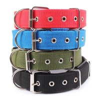 Solid Nylon Dog Collar – Strong & Durable for All Dog Sizes - BIG FRENCHIES