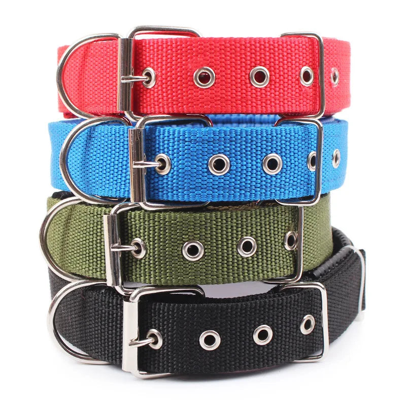 Solid Nylon Dog Collar – Strong & Durable for All Dog Sizes - BIG FRENCHIES