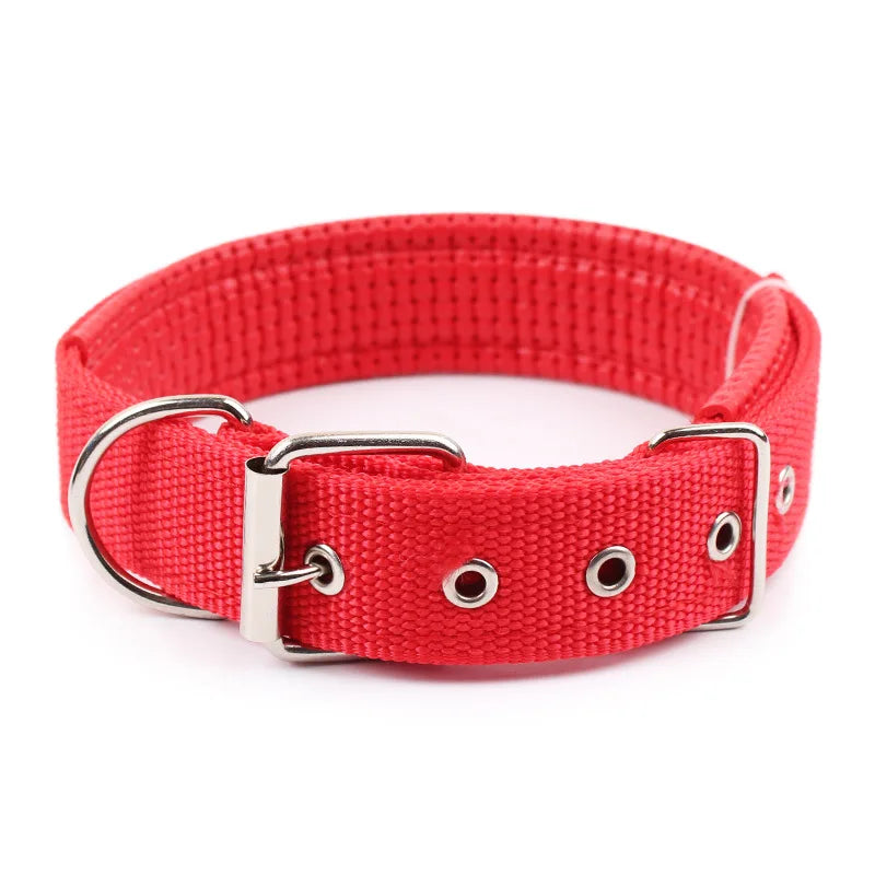 Solid Nylon Dog Collar – Strong & Durable for All Dog Sizes - BIG FRENCHIES