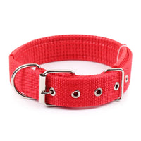 Solid Nylon Dog Collar – Strong & Durable for All Dog Sizes - BIG FRENCHIES