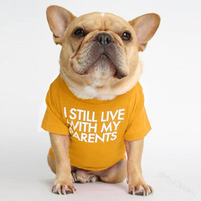 I Still Live With My Parents T-Shirt - BIG FRENCHIES